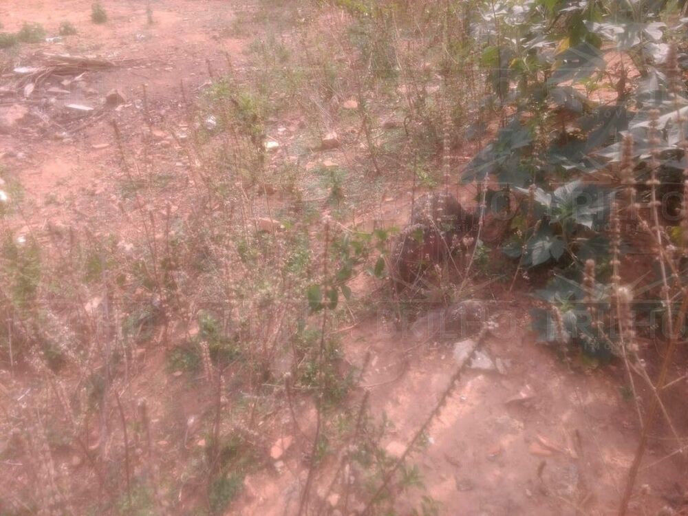 Terreno, 700 m² - Foto 4