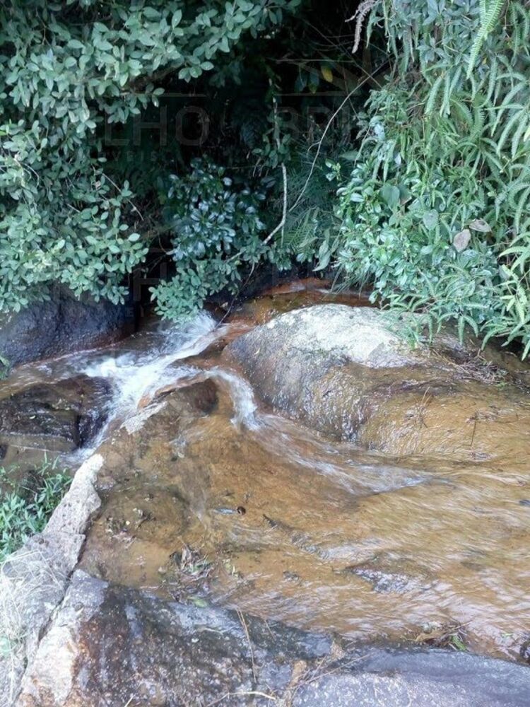 Terreno, 2221 m² - Foto 6