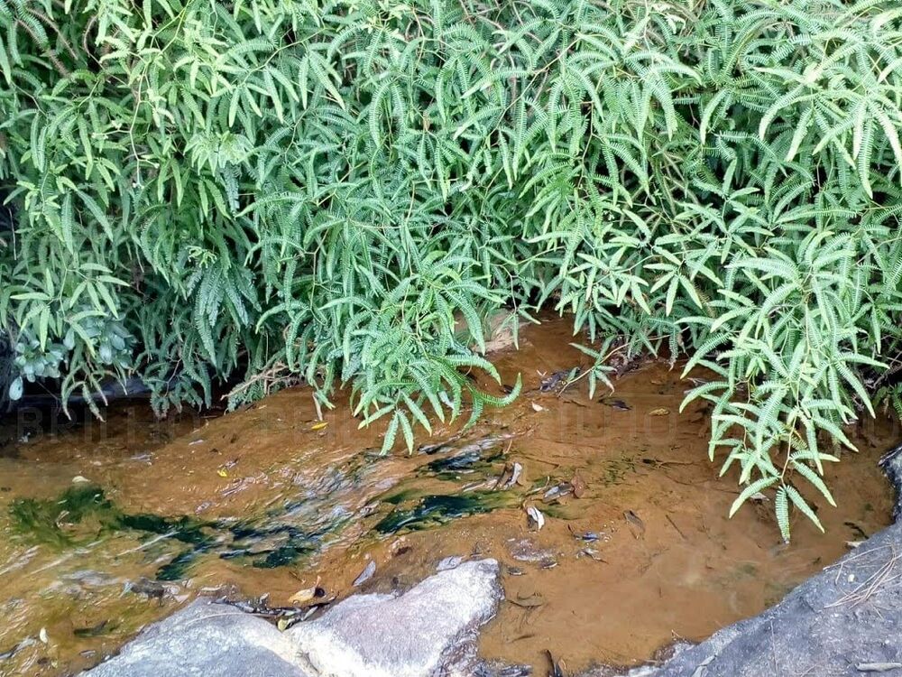 Terreno, 2221 m² - Foto 4