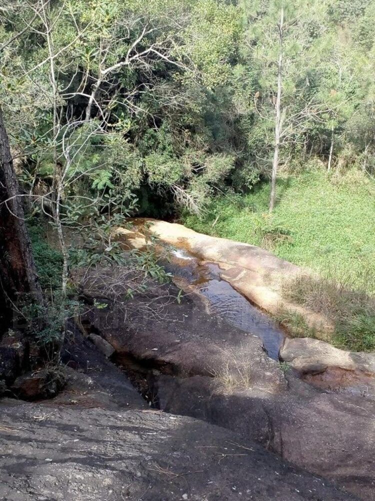 Terreno, 2221 m² - Foto 3