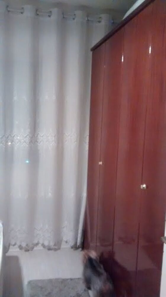 Apartamento, 2 quartos - Foto 6