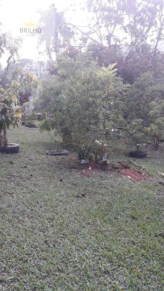 Sítio à venda com 5 quartos, 7000m² - Foto 20