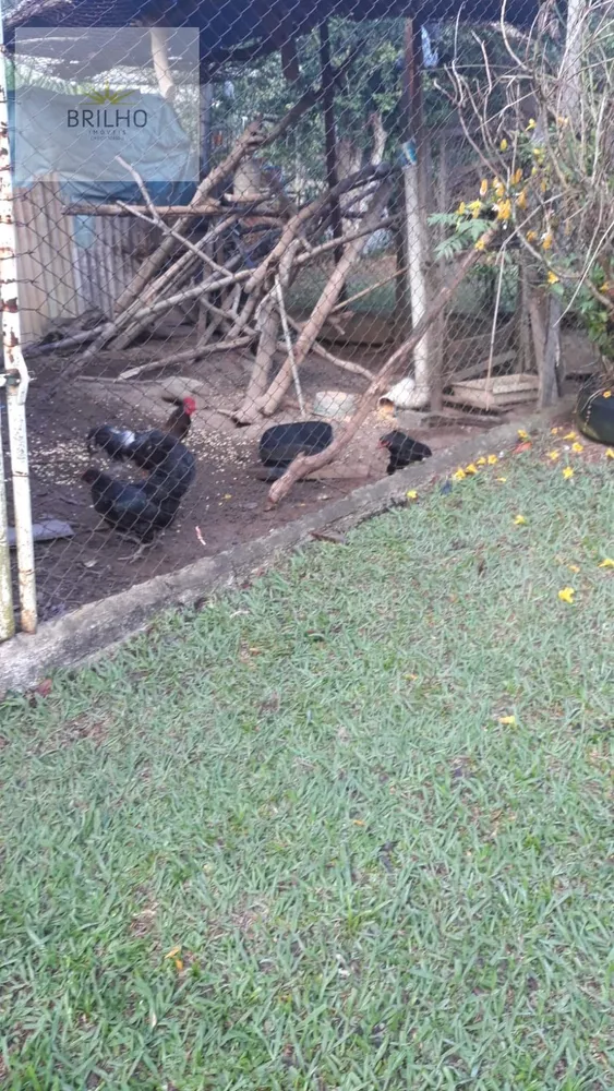 Sítio, 5 quartos, 7000 m² - Foto 33