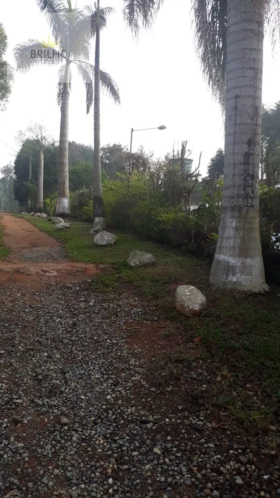 Sítio, 5 quartos, 7000 m² - Foto 28