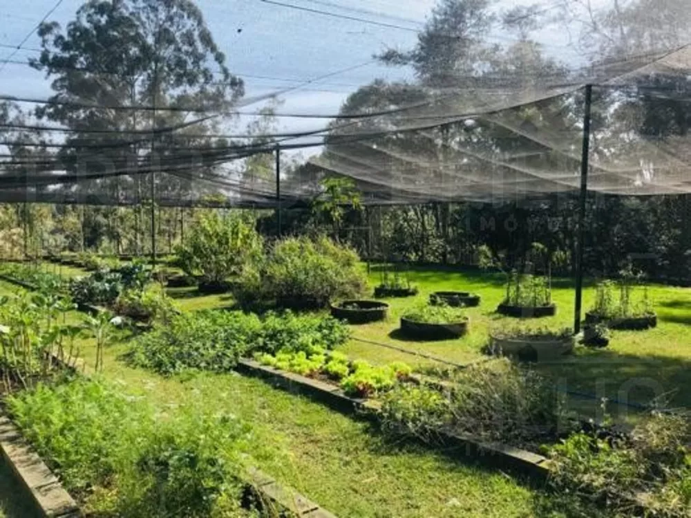 Fazenda à venda com 6 quartos, 20000m² - Foto 3