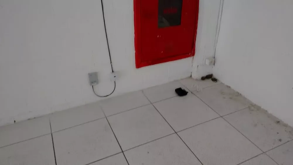 Loja-Salão, 110 m² - Foto 3