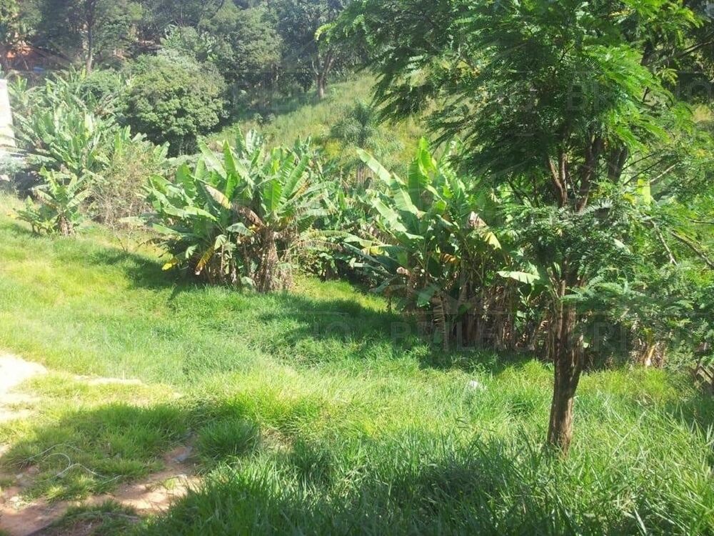 Terreno, 2673 m² - Foto 4
