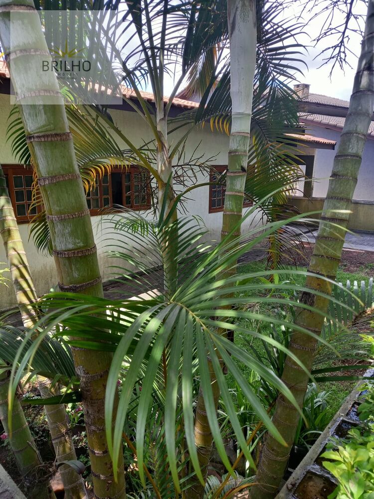 Casa de Condomínio, 3 quartos - Foto 16