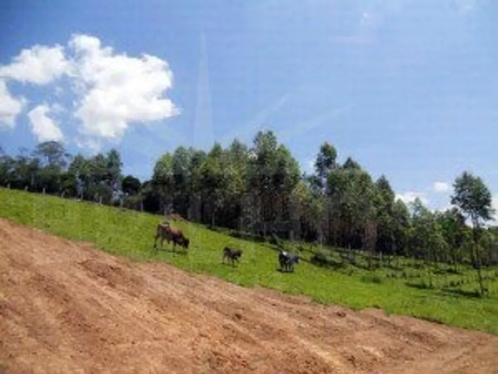 Fazenda à venda com 1 quarto, 21223m² - Foto 3