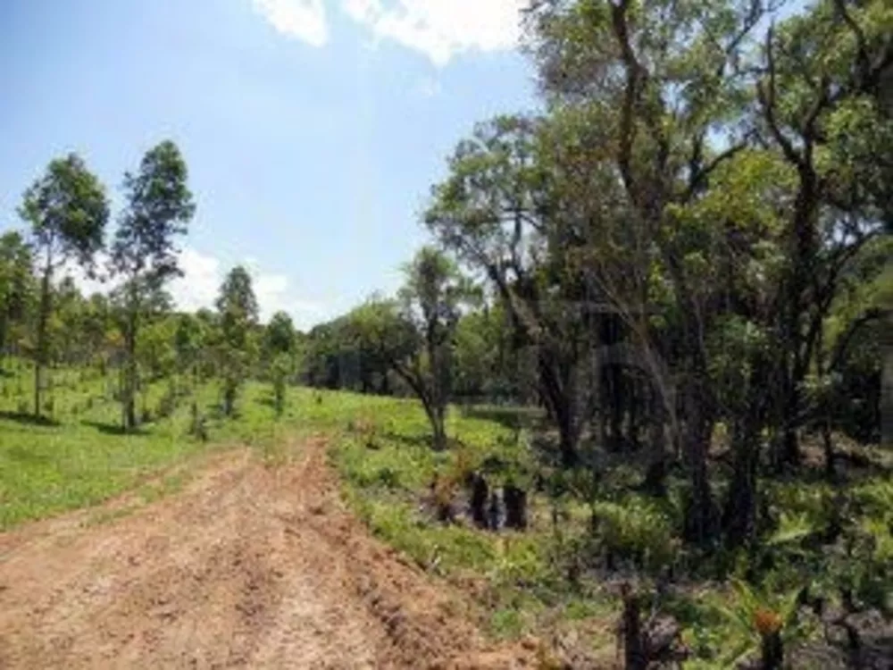 Fazenda à venda com 1 quarto, 21223m² - Foto 1