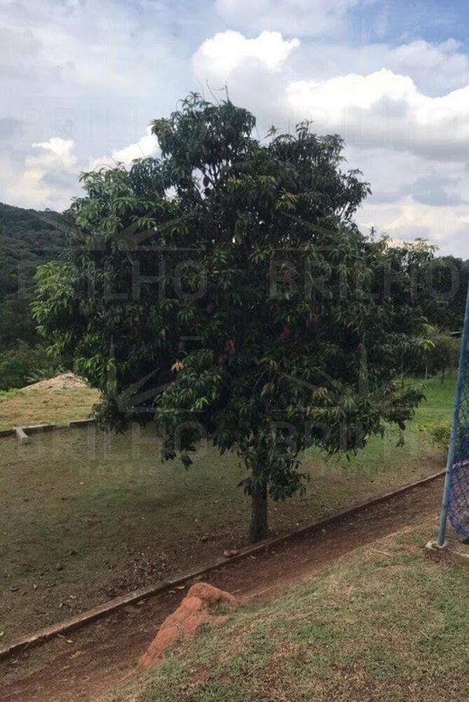 Terreno à venda, 1000m² - Foto 5