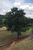Terreno, 1000 m² - Foto 5
