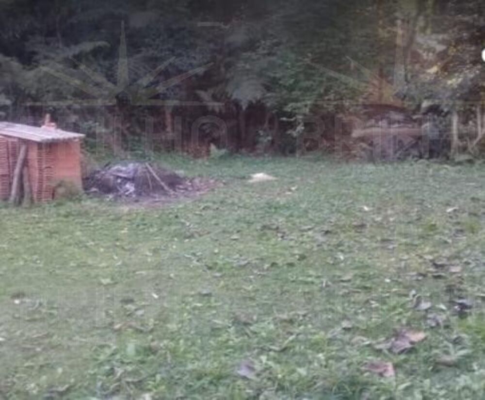 Chácara, 1 quarto - Foto 8