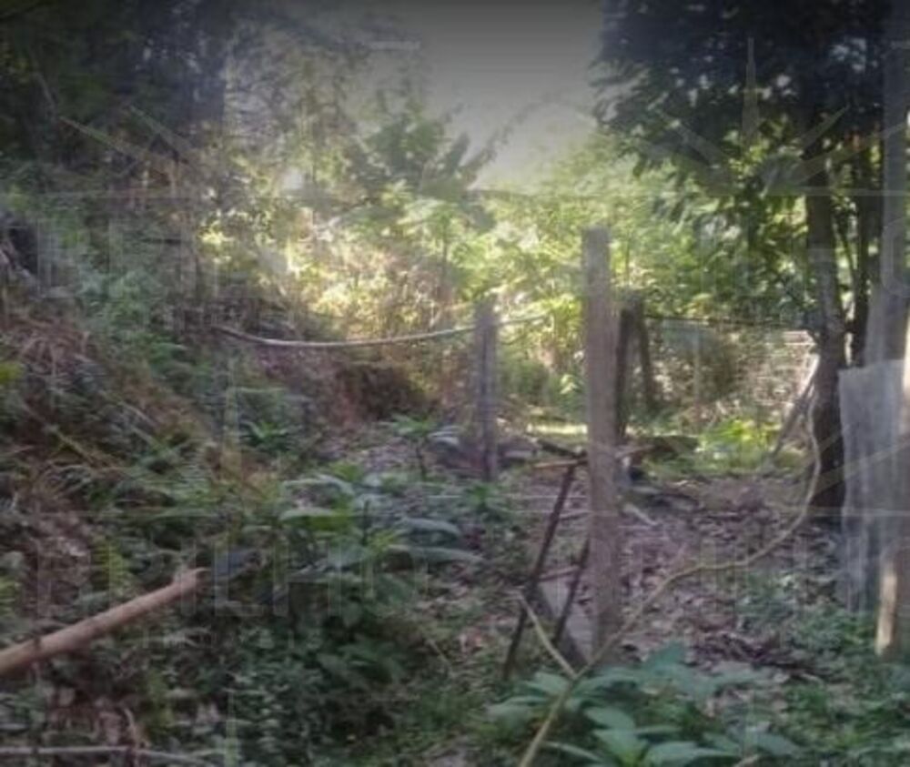 Chácara, 1 quarto - Foto 14