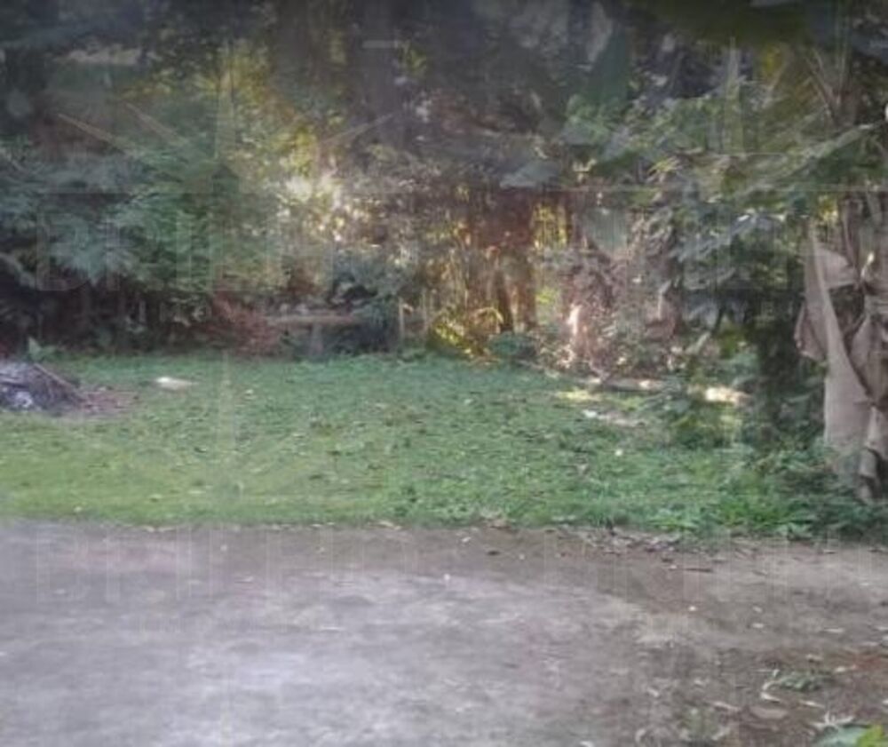 Chácara, 1 quarto - Foto 6