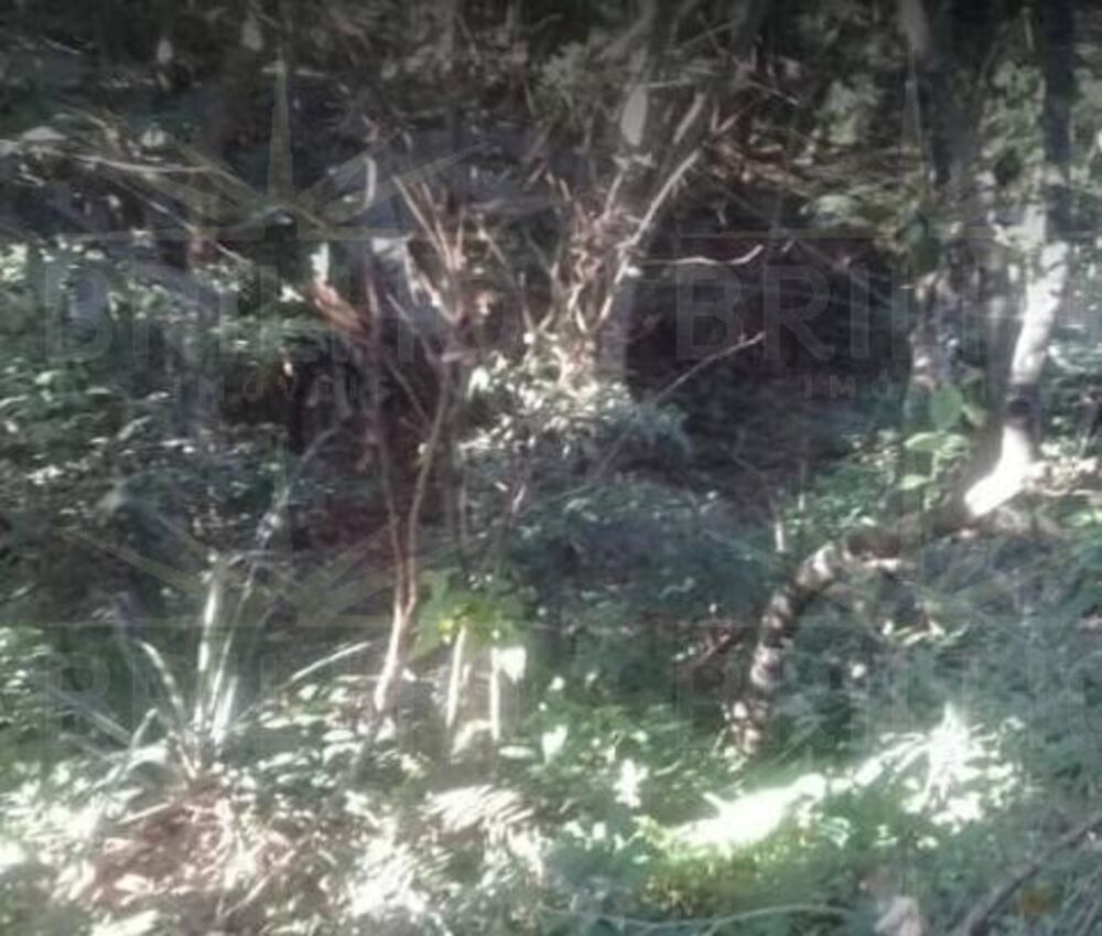 Chácara, 1 quarto - Foto 13