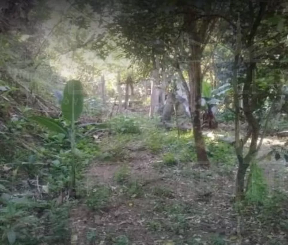 Chácara, 1 quarto - Foto 18