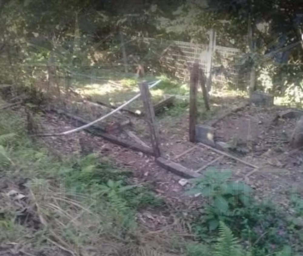 Chácara, 1 quarto - Foto 17