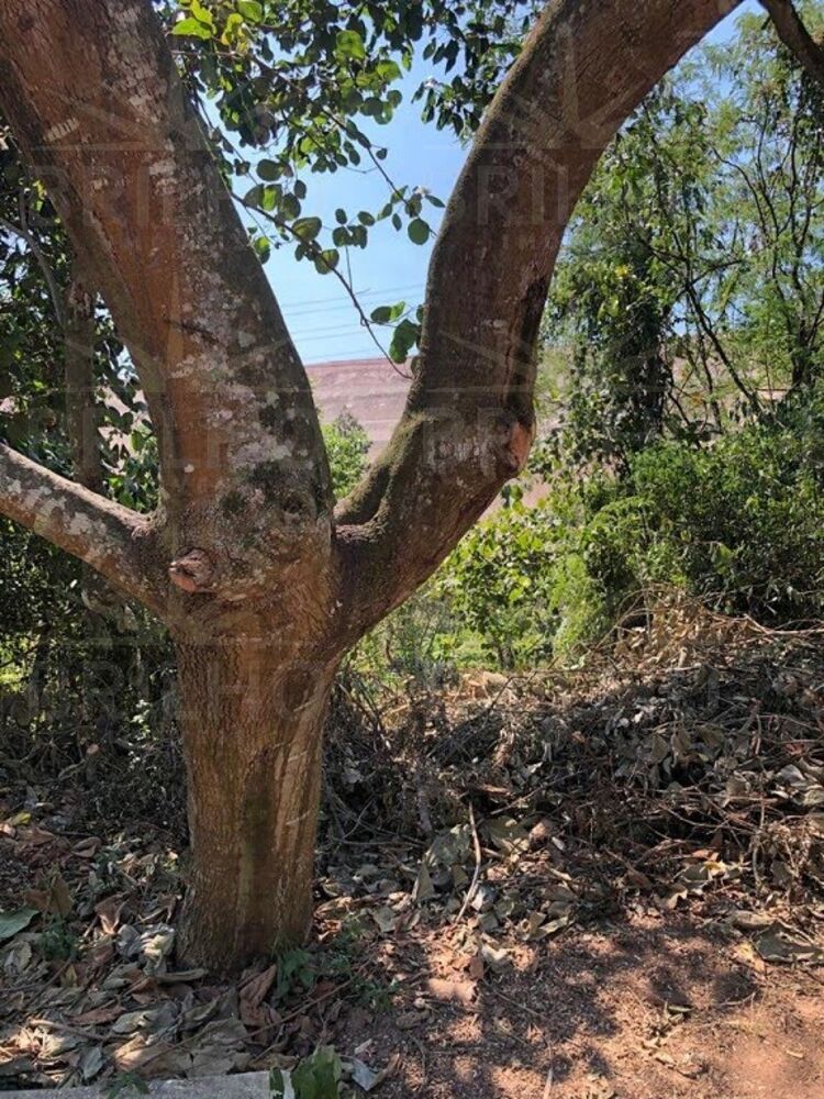 Terreno, 1500 m² - Foto 2