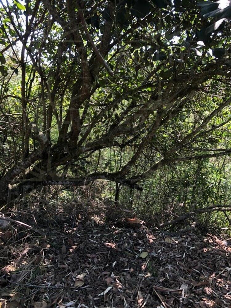 Terreno, 1500 m² - Foto 1