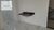 Apartamento, 1 quarto, 43 m² - Foto 2