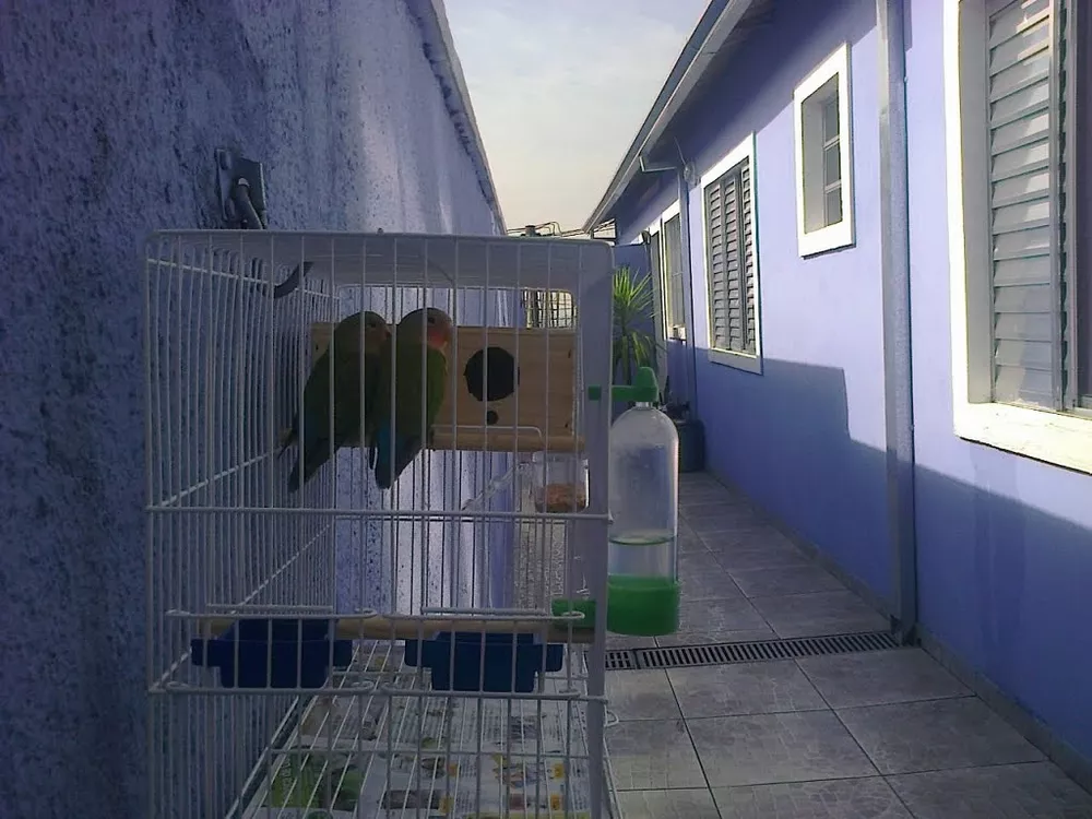 Casa, 2 quartos - Foto 11