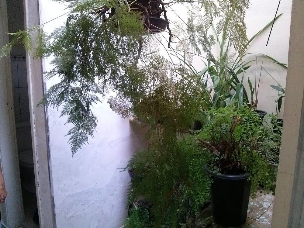 Sobrado à venda com 3 quartos, 188m² - Foto 6