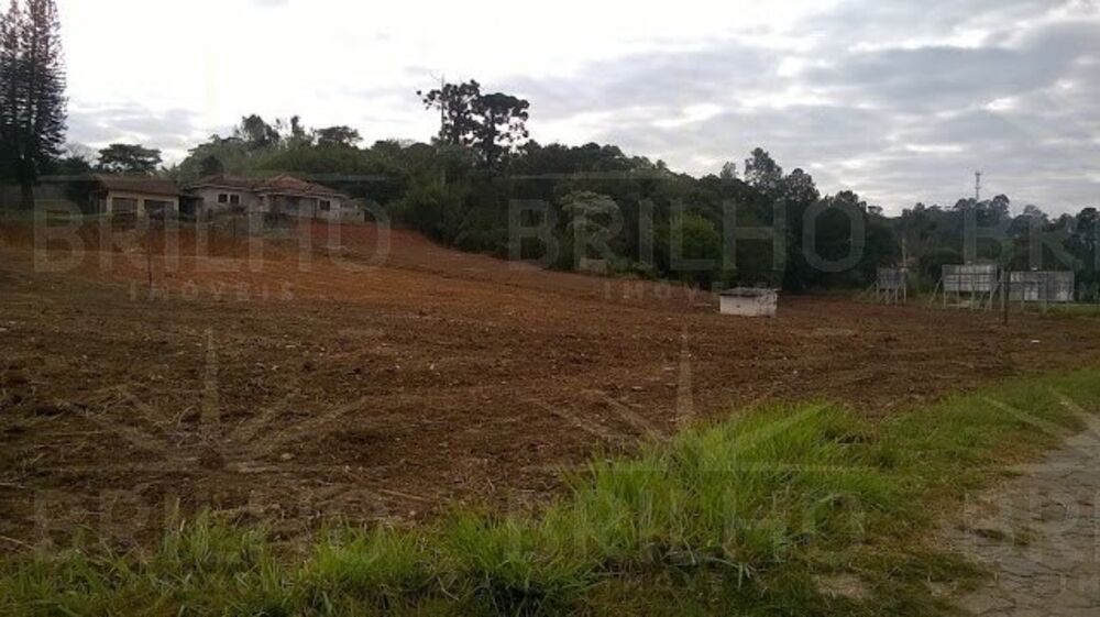 Terreno, 19566 m² - Foto 4