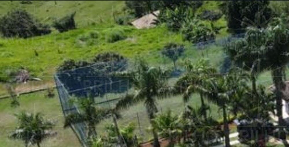 Chácara, 3 quartos - Foto 4