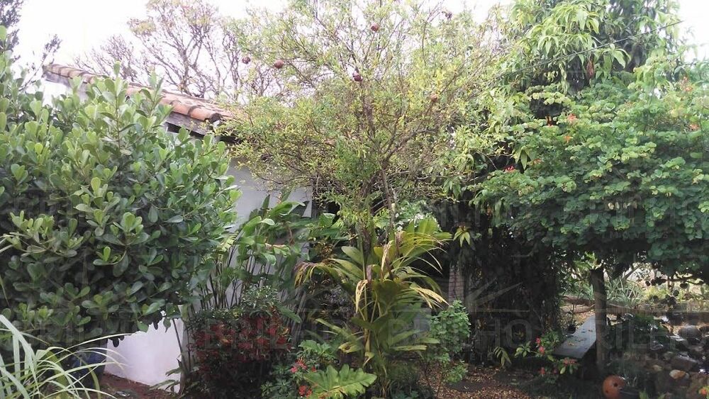Chácara, 3 quartos - Foto 28