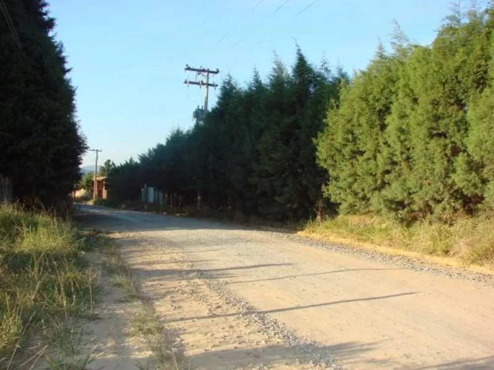 Terreno, 6000 m² - Foto 4