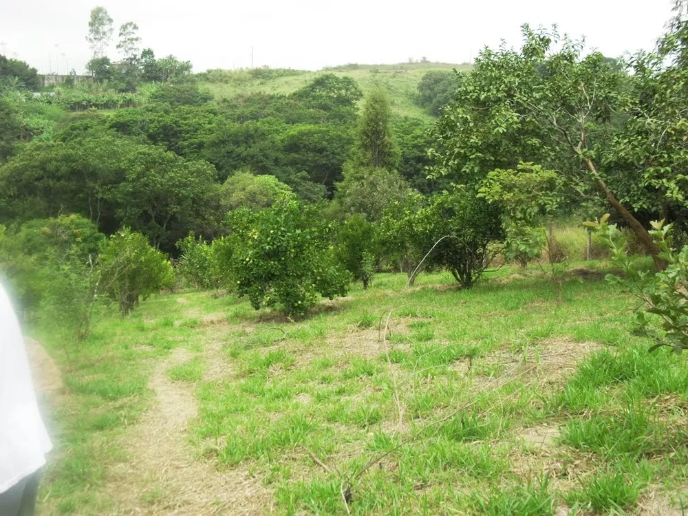 Terreno, 6000 m² - Foto 5