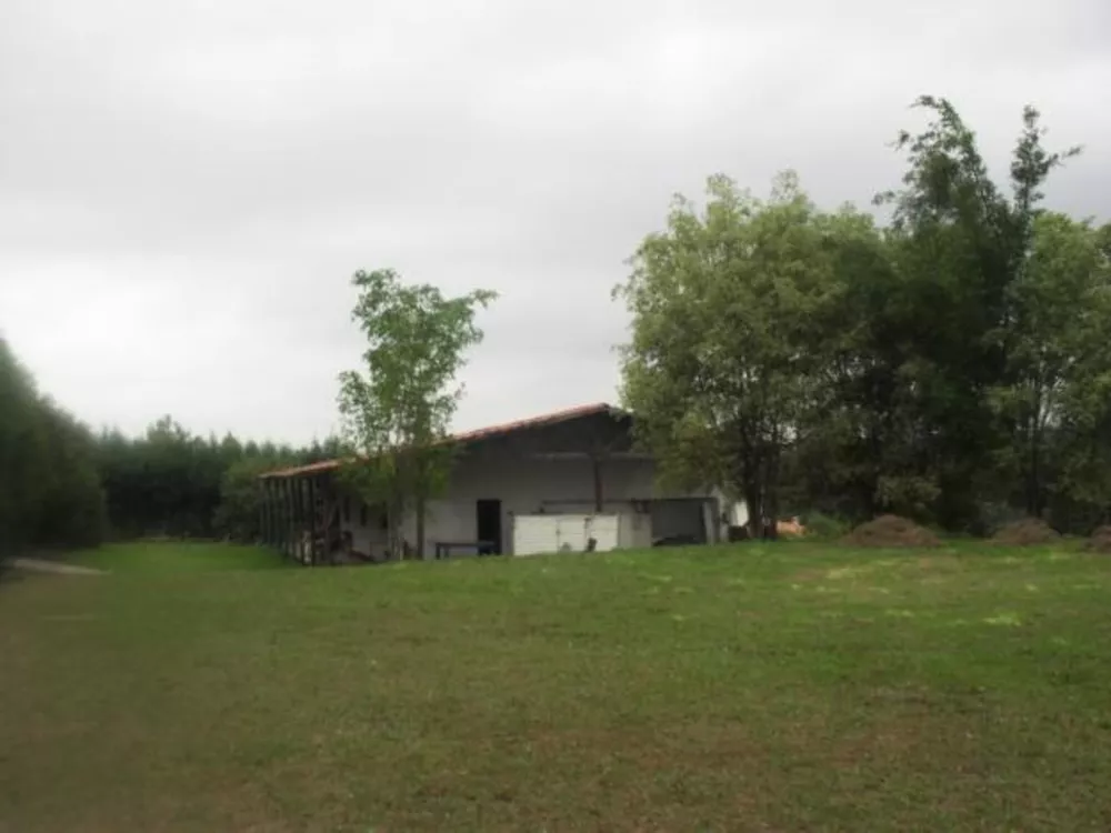 Terreno, 6000 m² - Foto 2