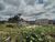 Terreno, 1500 m² - Foto 3