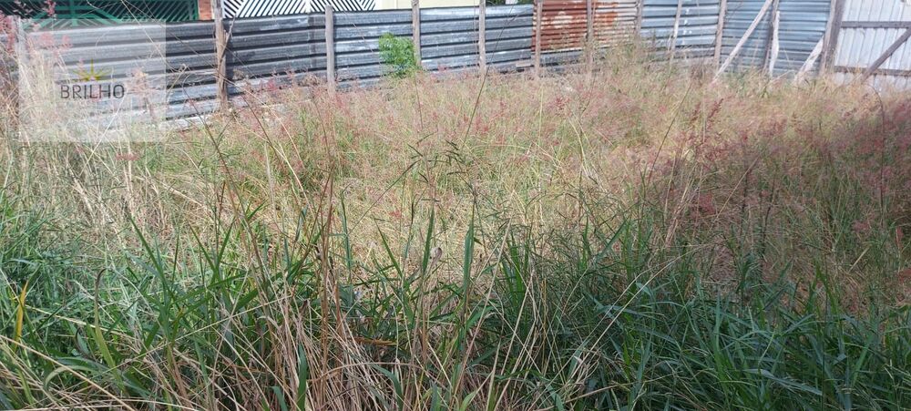 Terreno à venda, 125m² - Foto 8