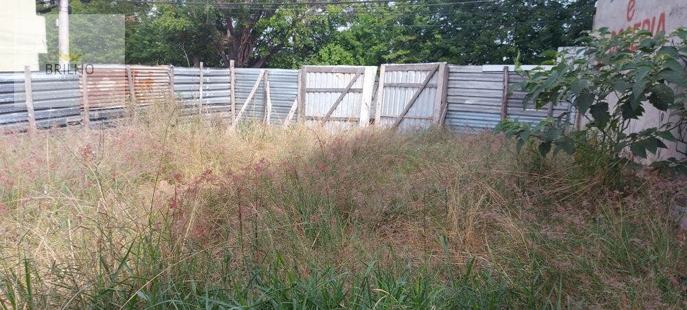 Terreno à venda, 125m² - Foto 4
