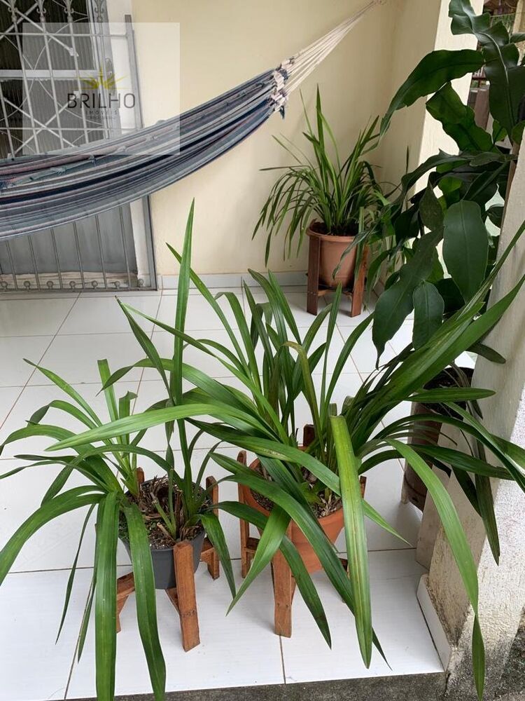 Chácara, 2 quartos - Foto 4