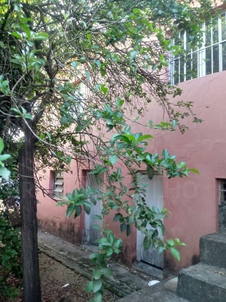 Casa, 3 quartos, 352 m² - Foto 6