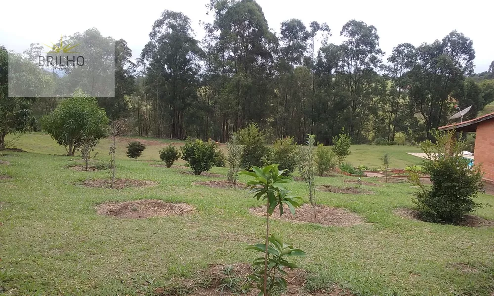 Fazenda à venda com 3 quartos, 10500m² - Foto 21