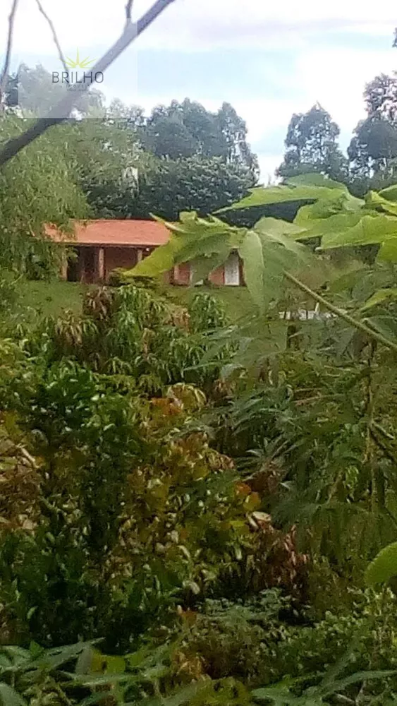 Fazenda à venda com 3 quartos, 10500m² - Foto 33