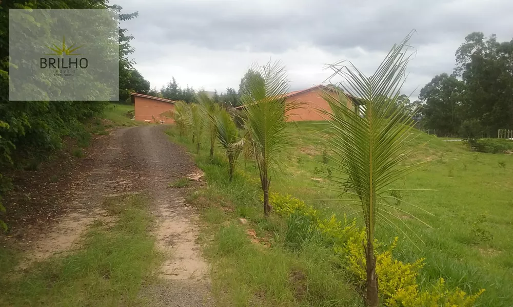 Fazenda à venda com 3 quartos, 10500m² - Foto 8