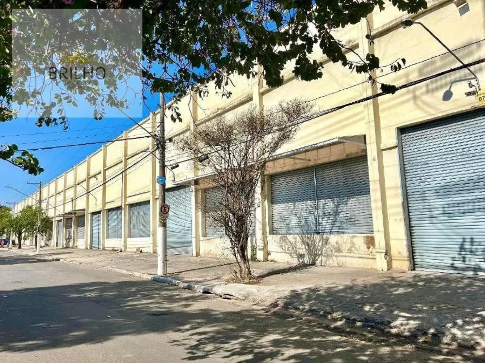 Depósito-Galpão, 11300 m² - Foto 3