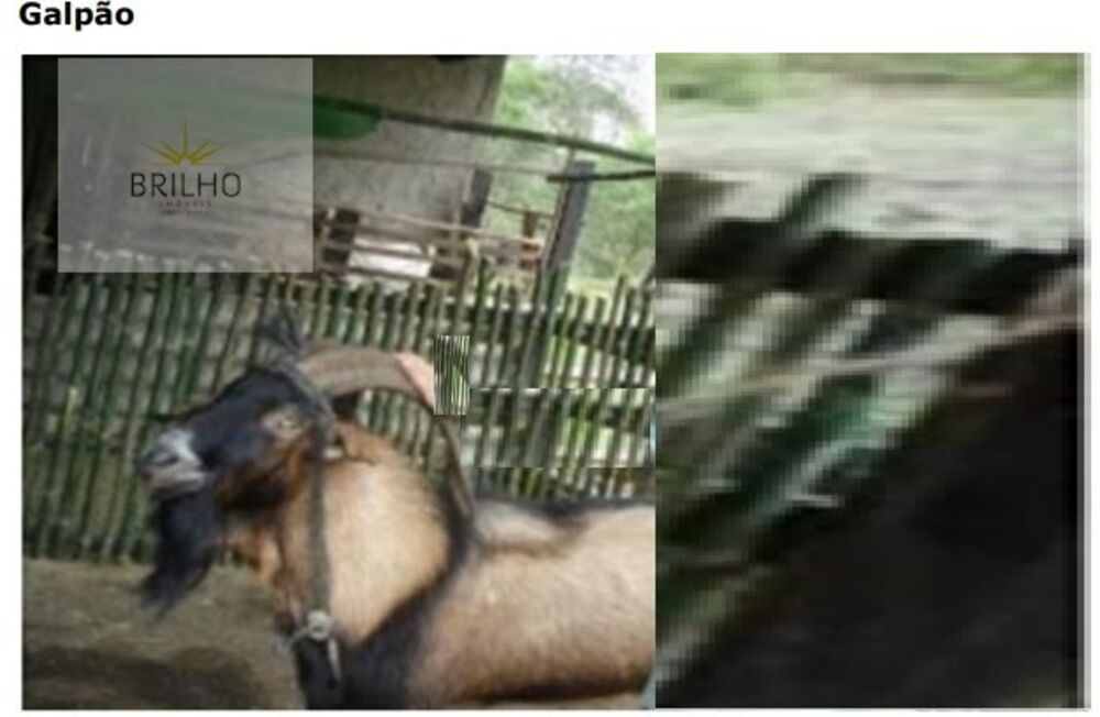 Sítio, 3 quartos, 173000 m² - Foto 2