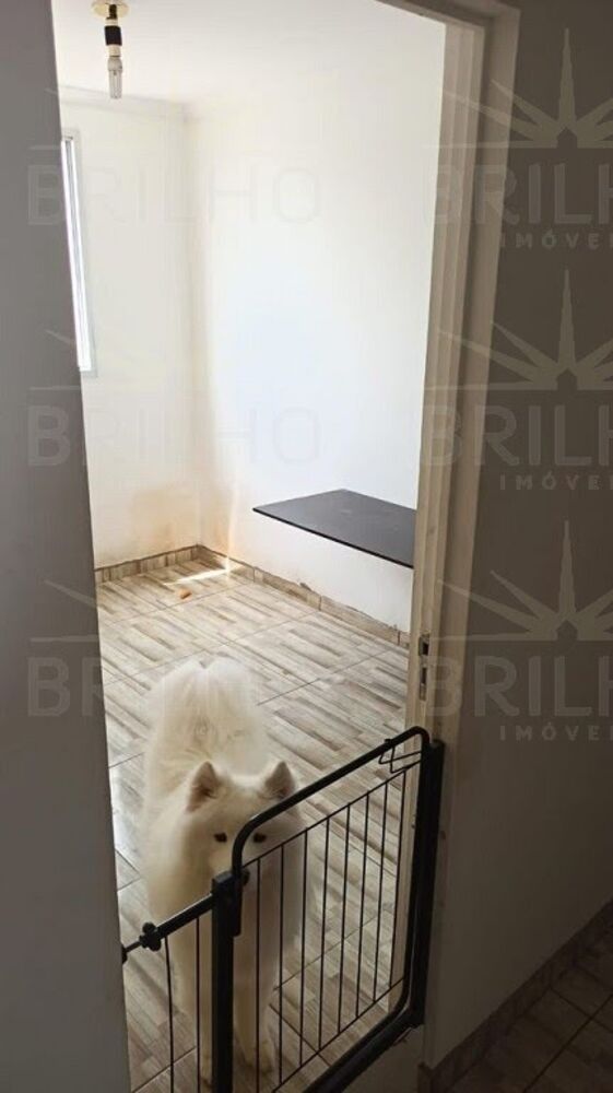 Apartamento, 3 quartos, 87 m² - Foto 1