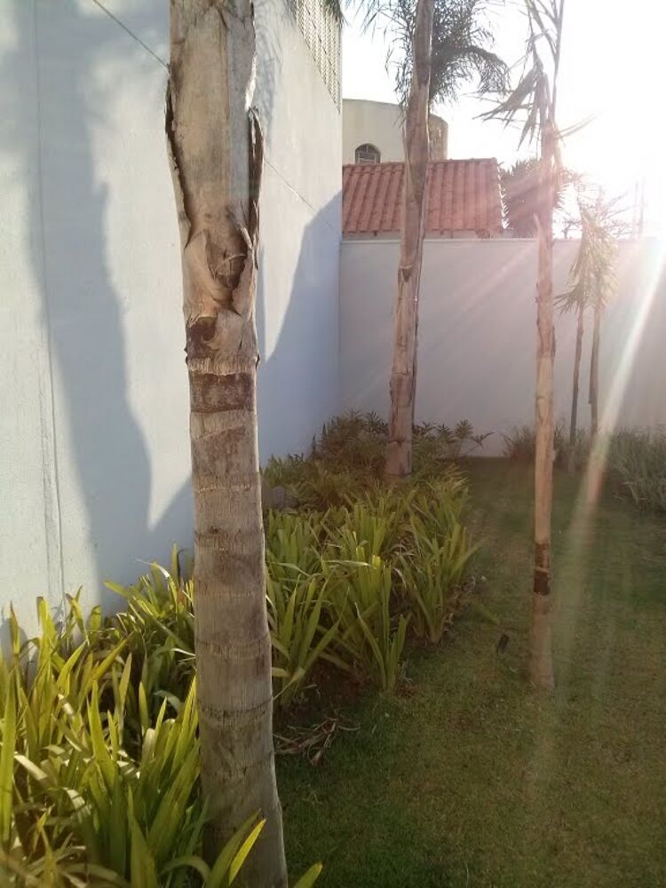 Apartamento à venda com 2 quartos, 48m² - Foto 12