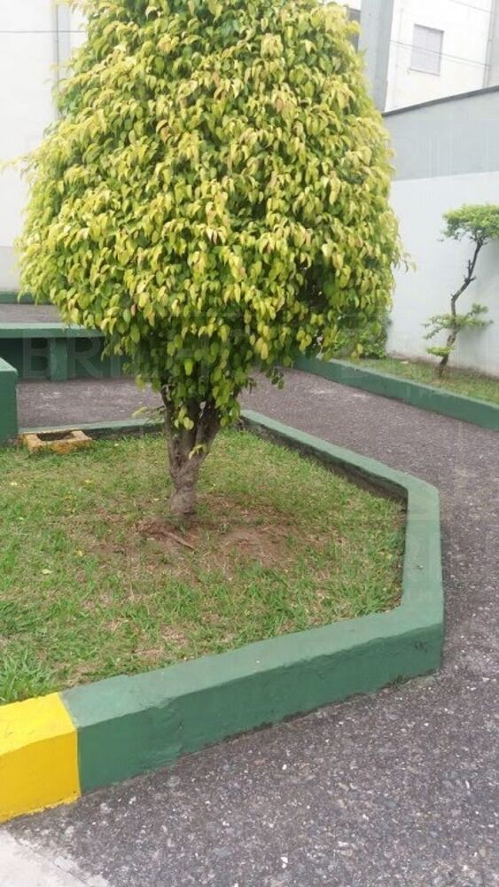 Apartamento, 2 quartos, 49 m² - Foto 2
