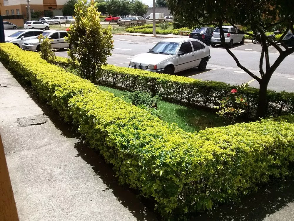 Apartamento, 2 quartos, 50 m² - Foto 5