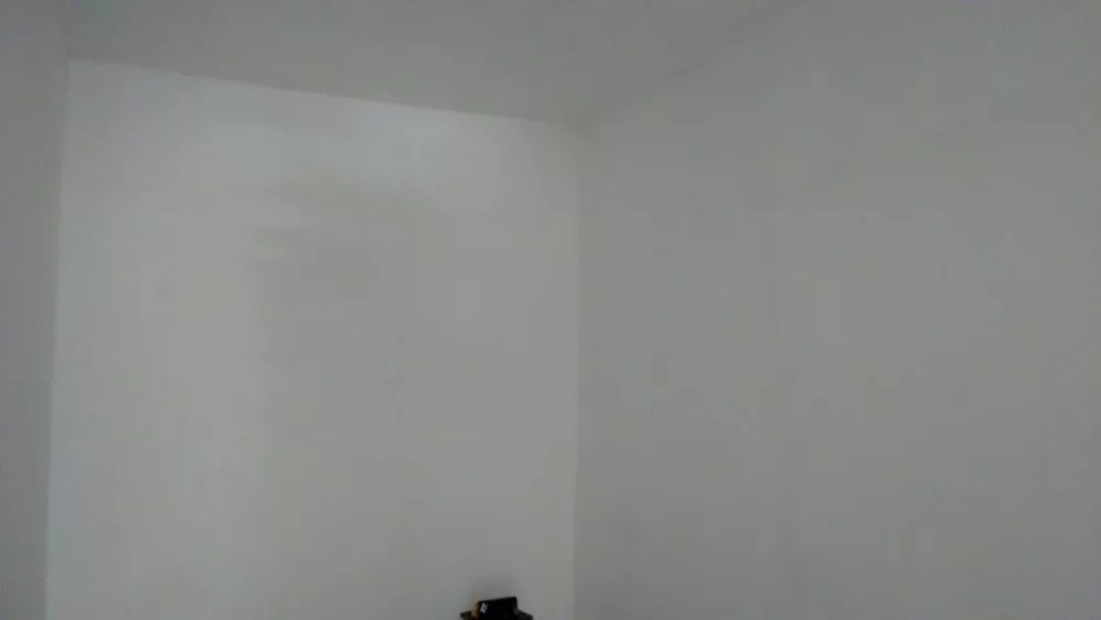 Casa, 4 quartos, 250 m² - Foto 7