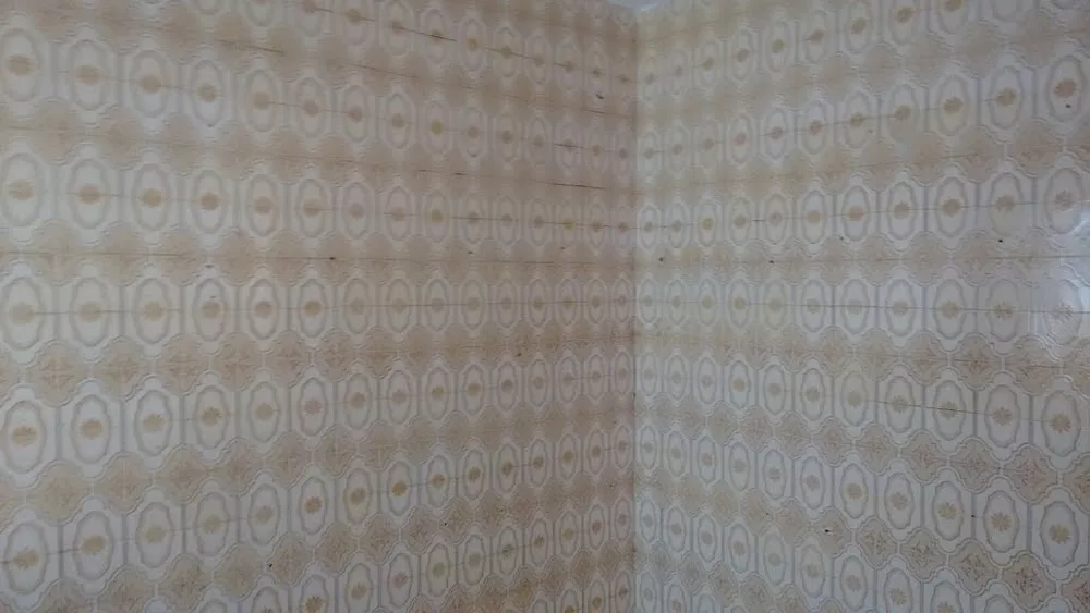 Casa, 4 quartos, 250 m² - Foto 8