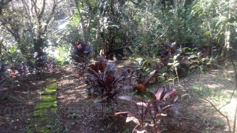 Chácara à venda com 3 quartos, 3460m² - Foto 4